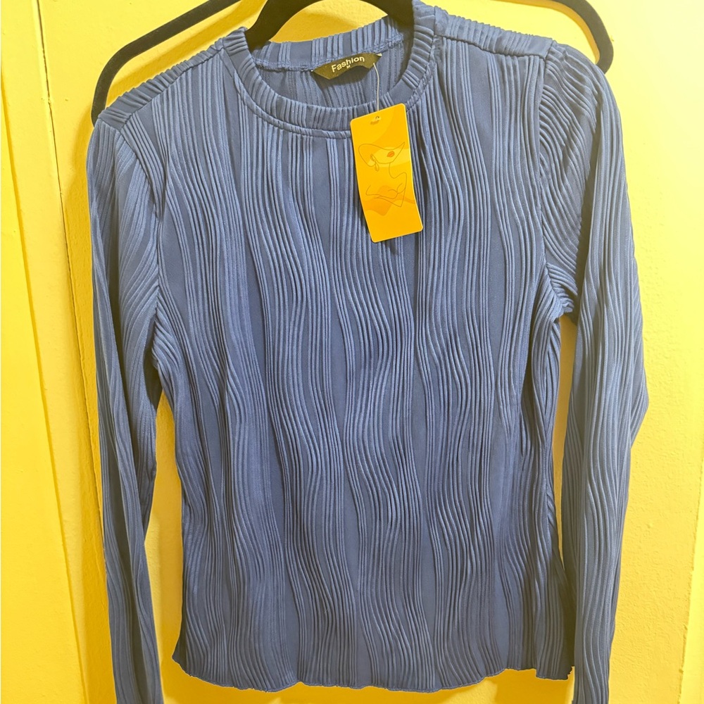 Blue Ribbed Mesh Blouse - Picture 4 of 4